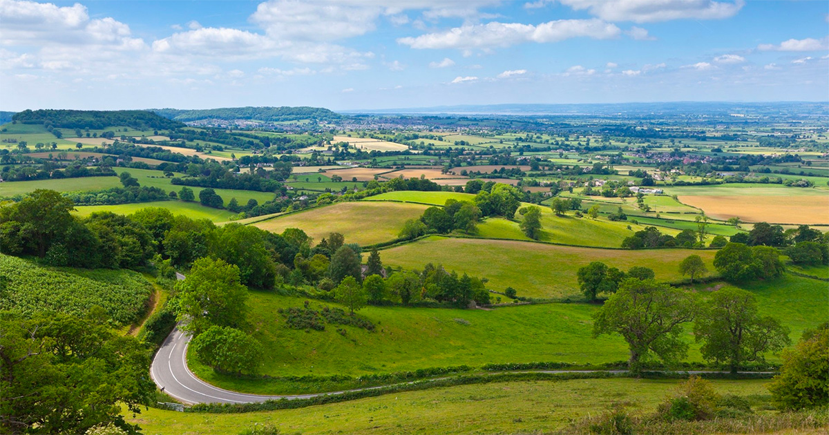 Gluten free places to eat in England